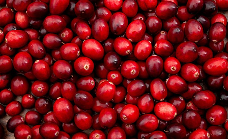 Photo of cranberries